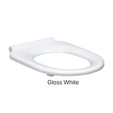 DELTA Care Toilet Seat White, Grey, Or Blue